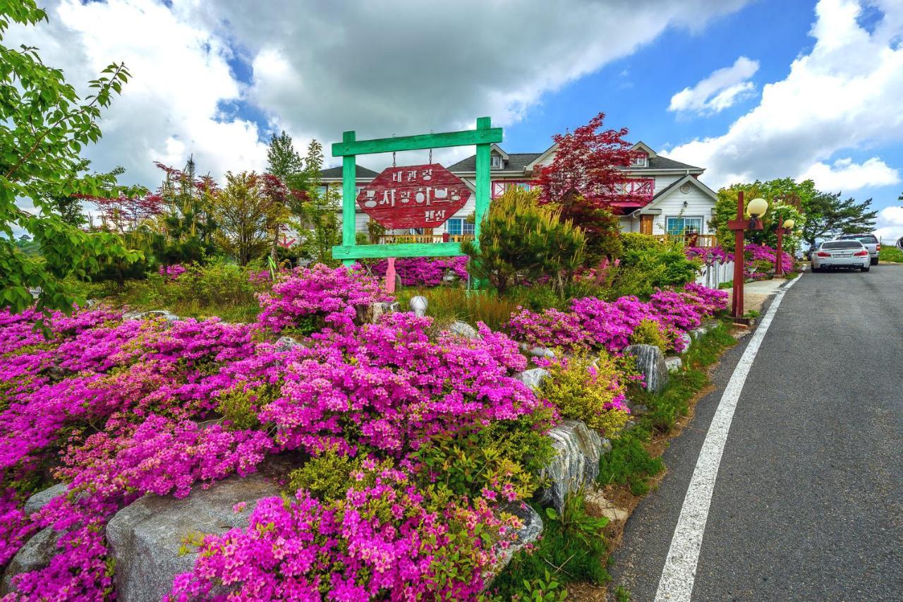 Pungcha & Herb Pension Pyeongchang Dış mekan fotoğraf