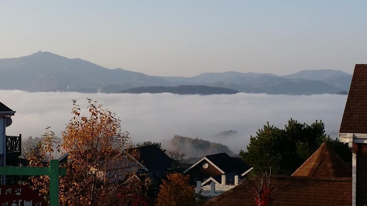 Pungcha & Herb Pension Pyeongchang Dış mekan fotoğraf