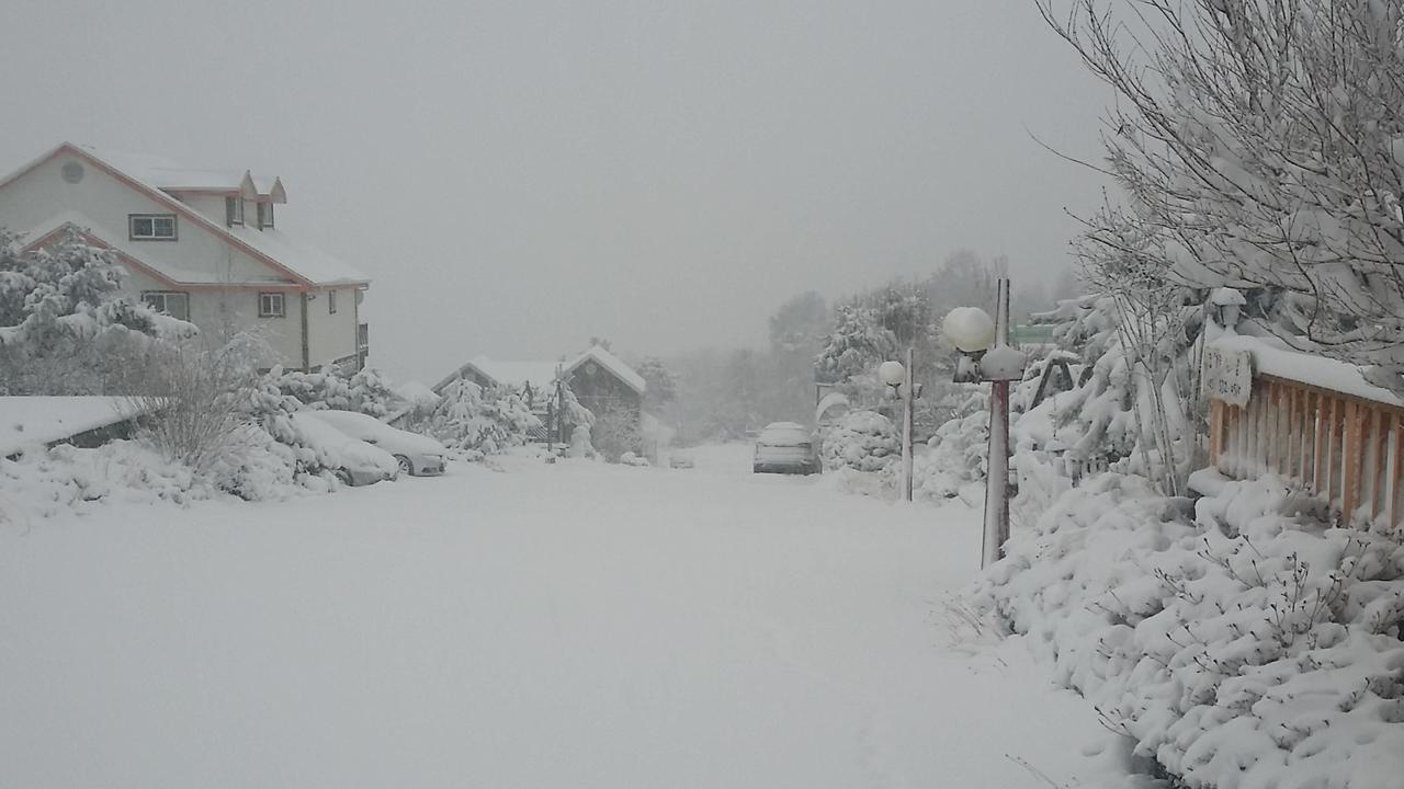 Pungcha & Herb Pension Pyeongchang Dış mekan fotoğraf
