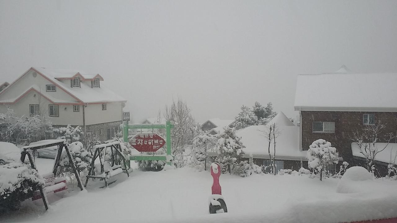 Pungcha & Herb Pension Pyeongchang Dış mekan fotoğraf