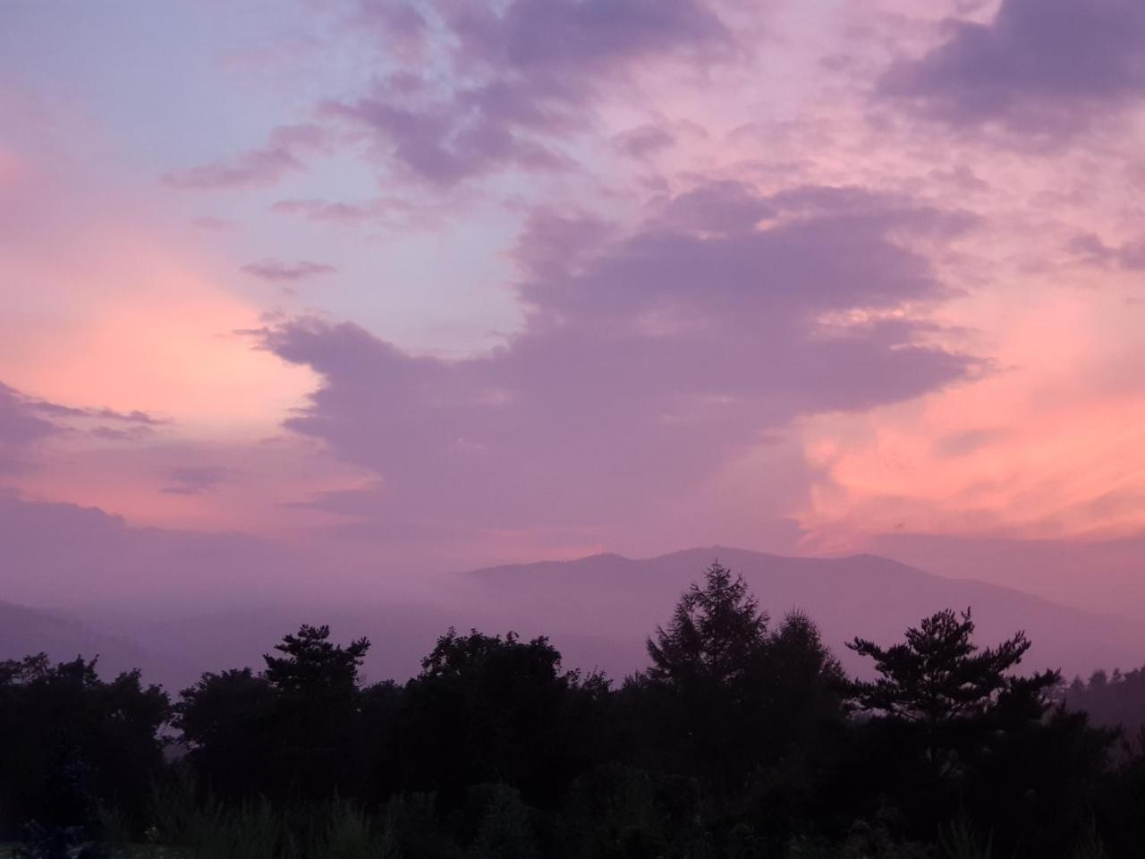 Pungcha & Herb Pension Pyeongchang Dış mekan fotoğraf
