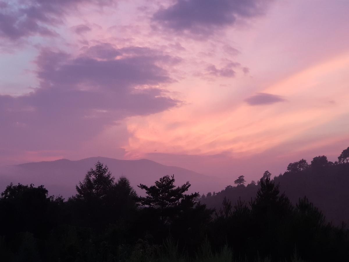 Pungcha & Herb Pension Pyeongchang Dış mekan fotoğraf